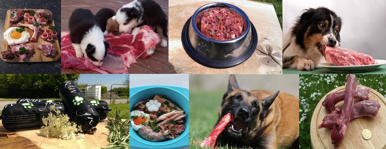 A collection of raw dog food images and dogs eating meat