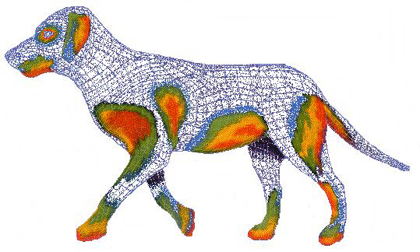 side profile of a dog showing areas of hot inflamed areas