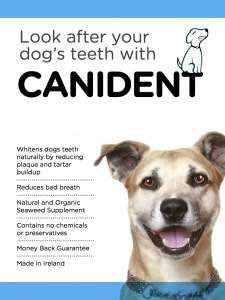 canident gets rid of bad breath in dogs