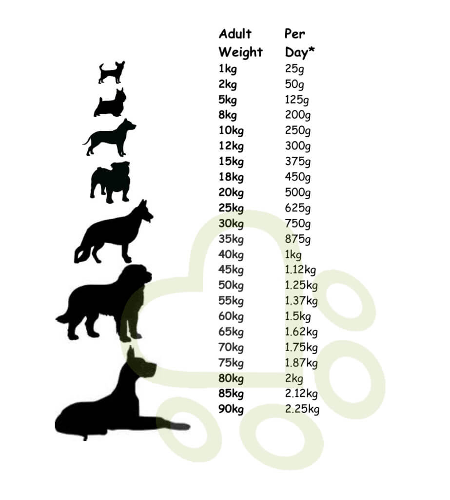 a table showing people how much raw dog food food I should feed my dog
