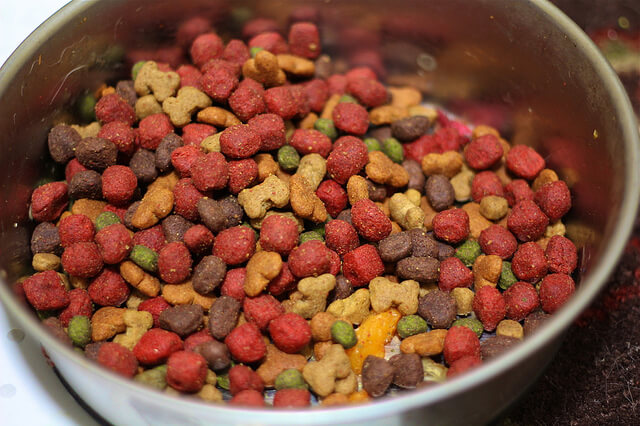 chemicals in dry dog food fuels hyperactive dog