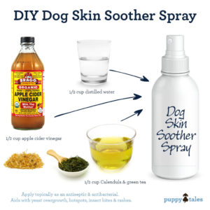 homemade spay to help soothe chronically itchy dogs