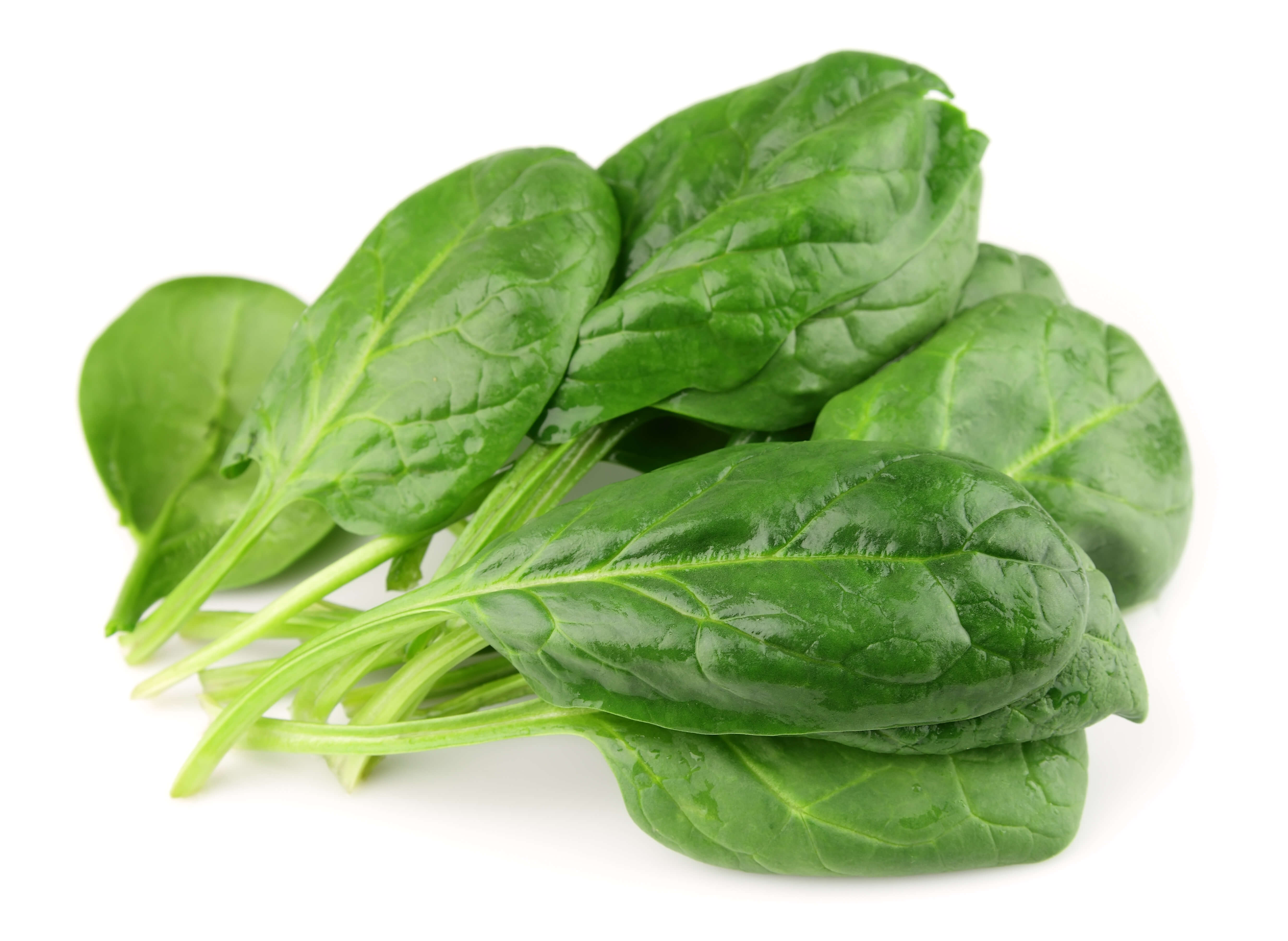 b vitamins in spinach will calm hyperactive dogs