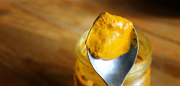 a spoon full of golden paste for dogs