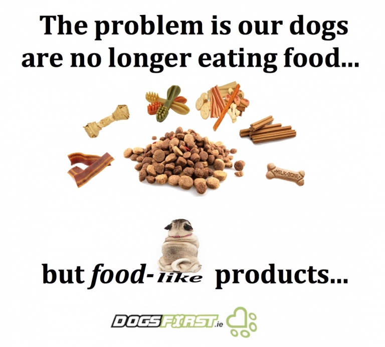 what not to feed dogs