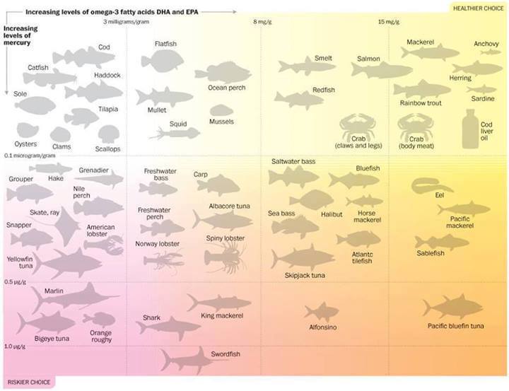 a chart showing which oily fish are good