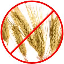 no wheat for dogs