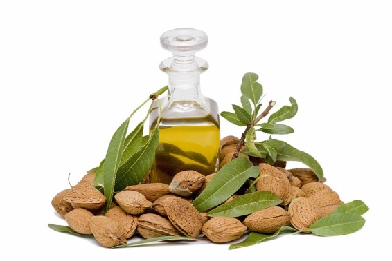 almond oil is natural sunscreen for dogs