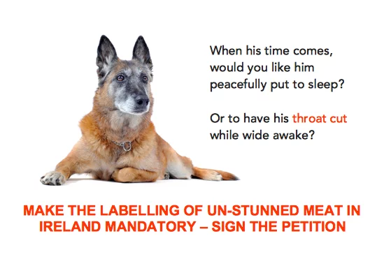 ban un-stunned meat in Ireland
