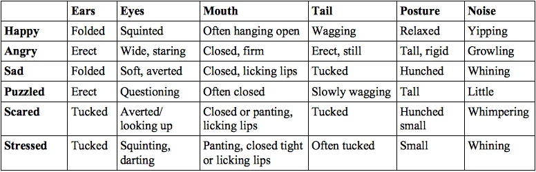 dog behaviour list