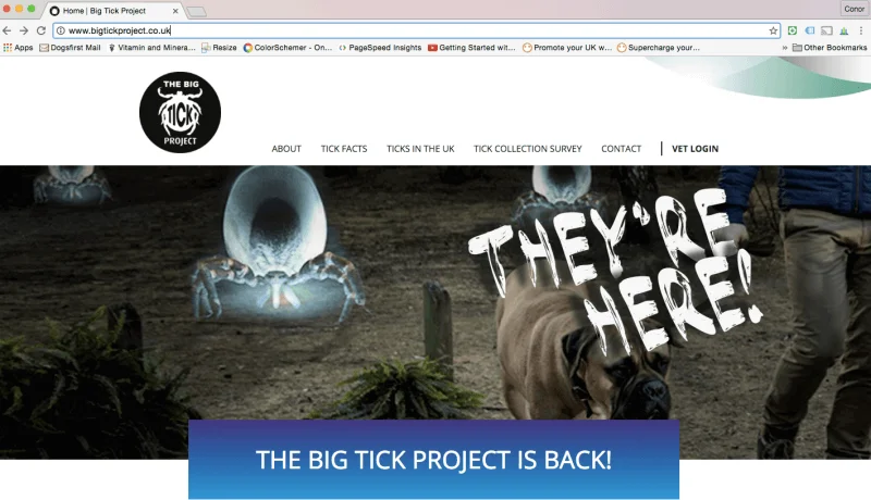 big tick project