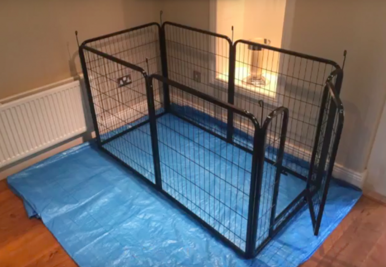a dog pen, used for a dog recovering from a spinal operation