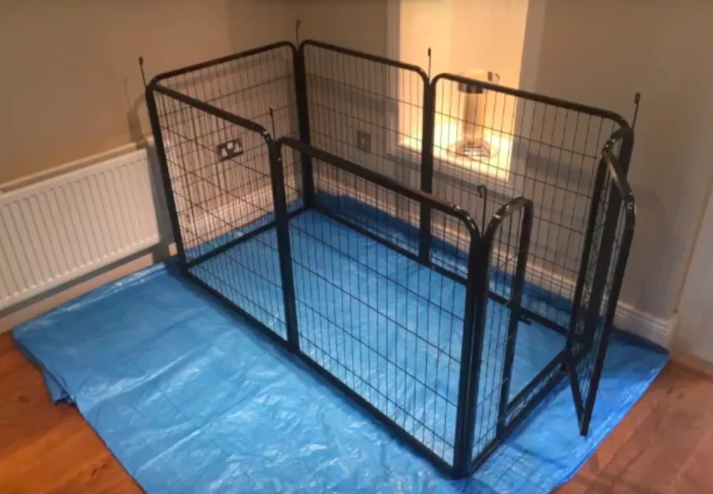 a dog pen, used for a dog recovering from a spinal operation