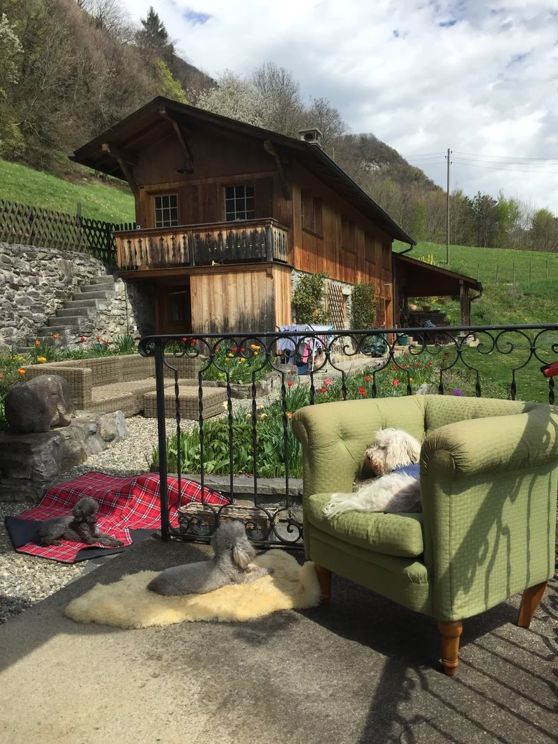 The Best Kennels in the World