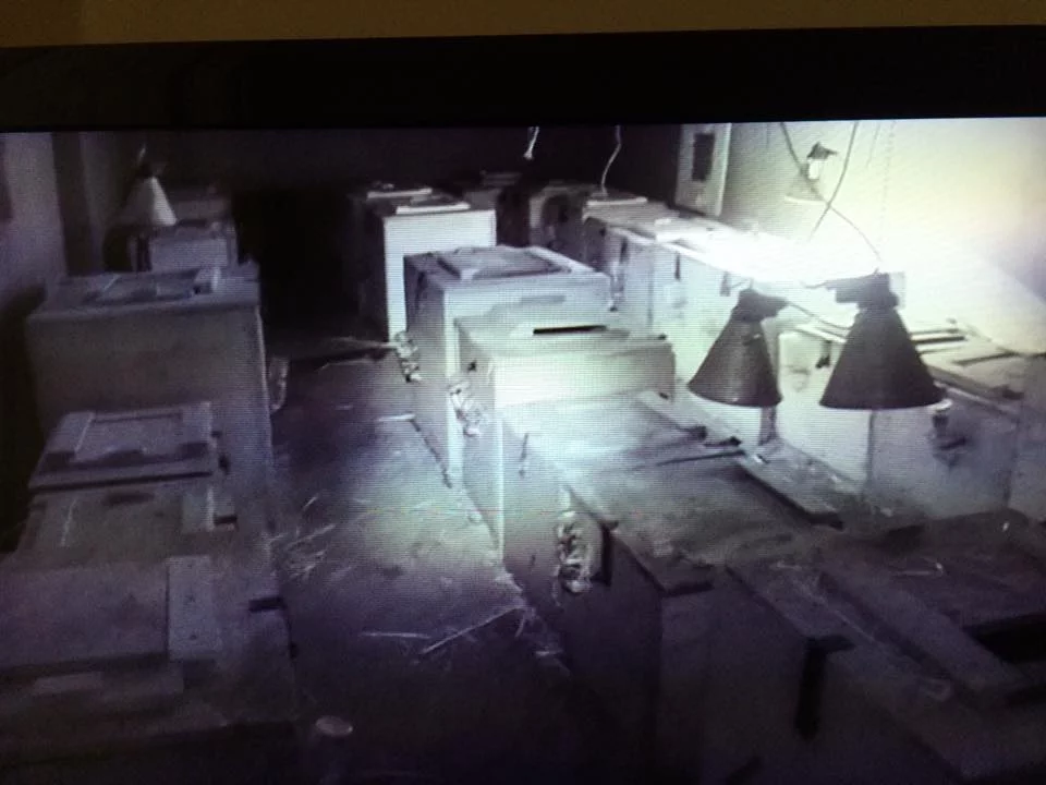Images from Cullivans Puppy Farm