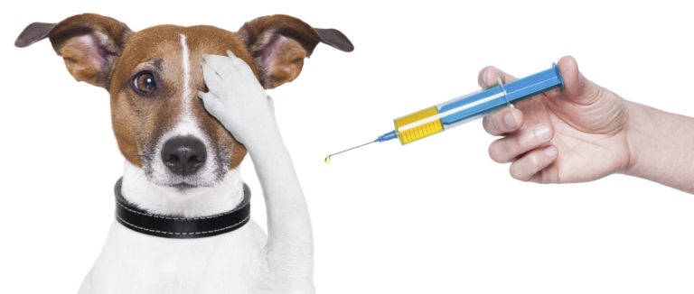 vaccinations for dogs