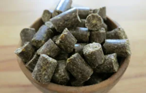 cold pressed dog food