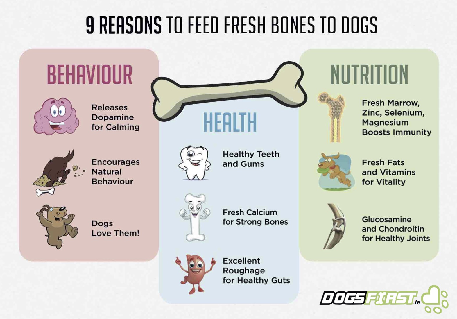 the benefits of raw bones for dogs