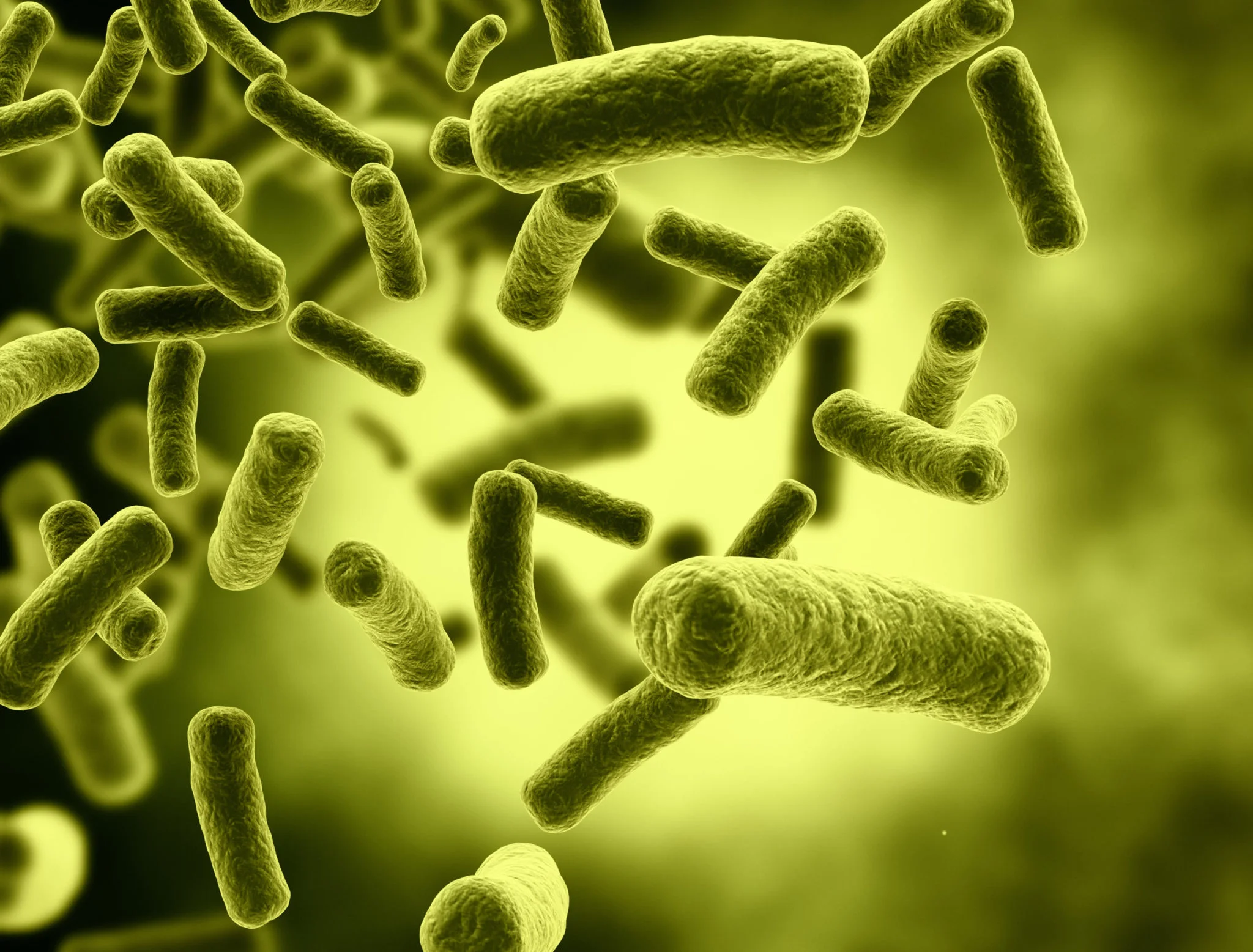 a close image of bacteria floating in liquid