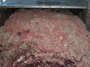 pre-rendered meat meal