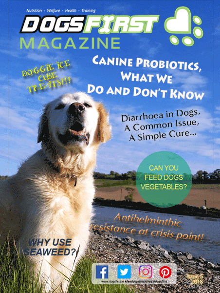 Dogs First Magazine Issue 05