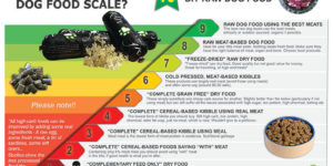 Where are you on the dog food scale?!