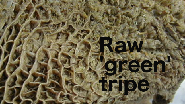 Raw Green Tripe