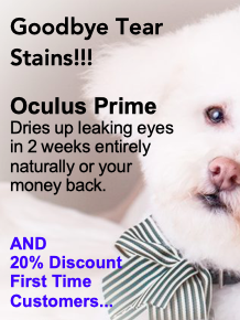 Oculus Prime fixes weepy eyes in dogs