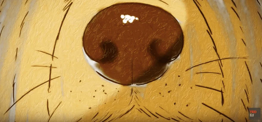 a dog's nose is as good as any breath analysis
