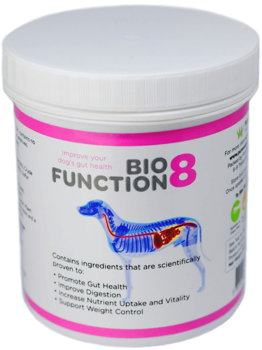 Biofunction8 for gastrointestinal disease in dogs