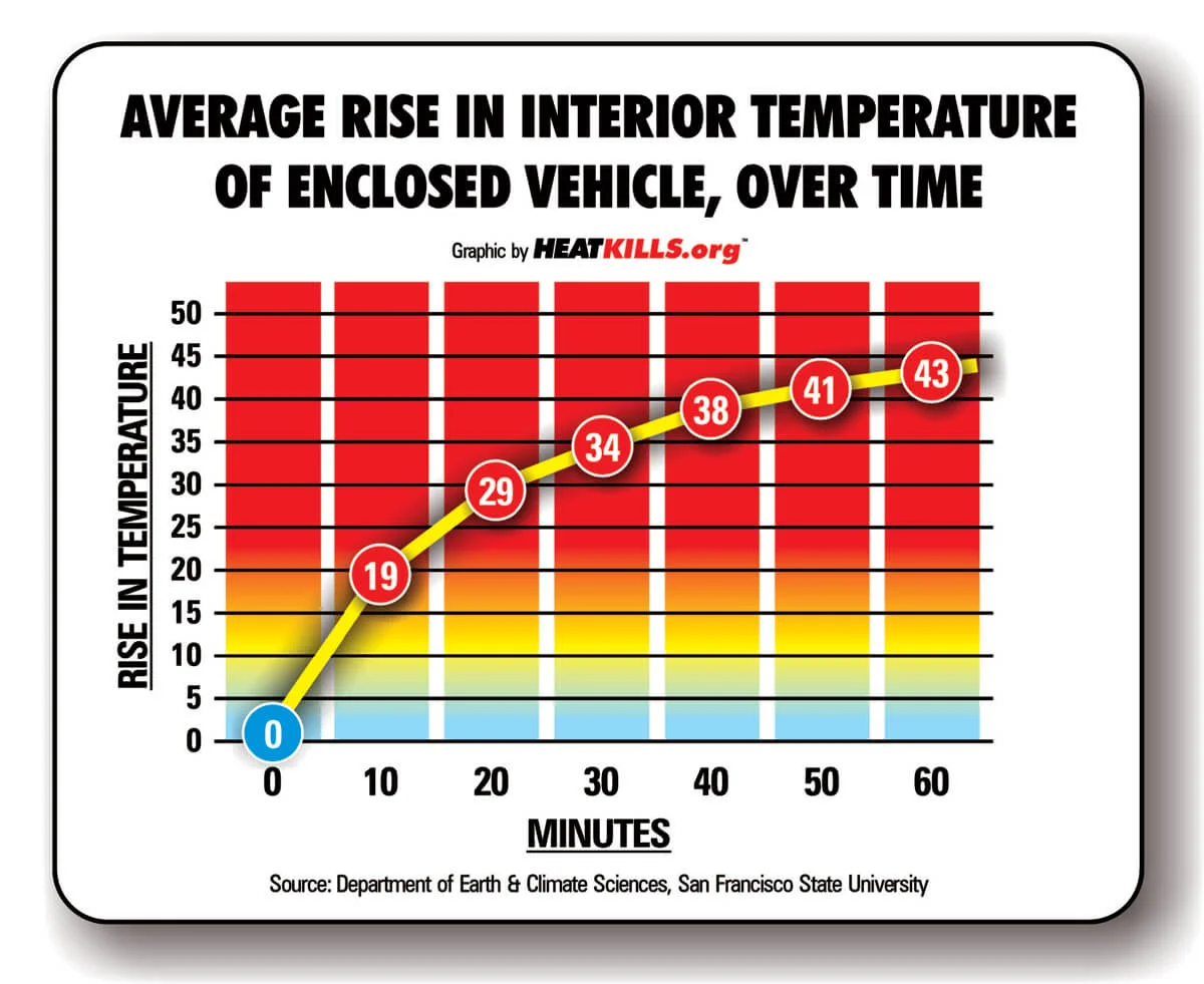 dogs die in hot cars