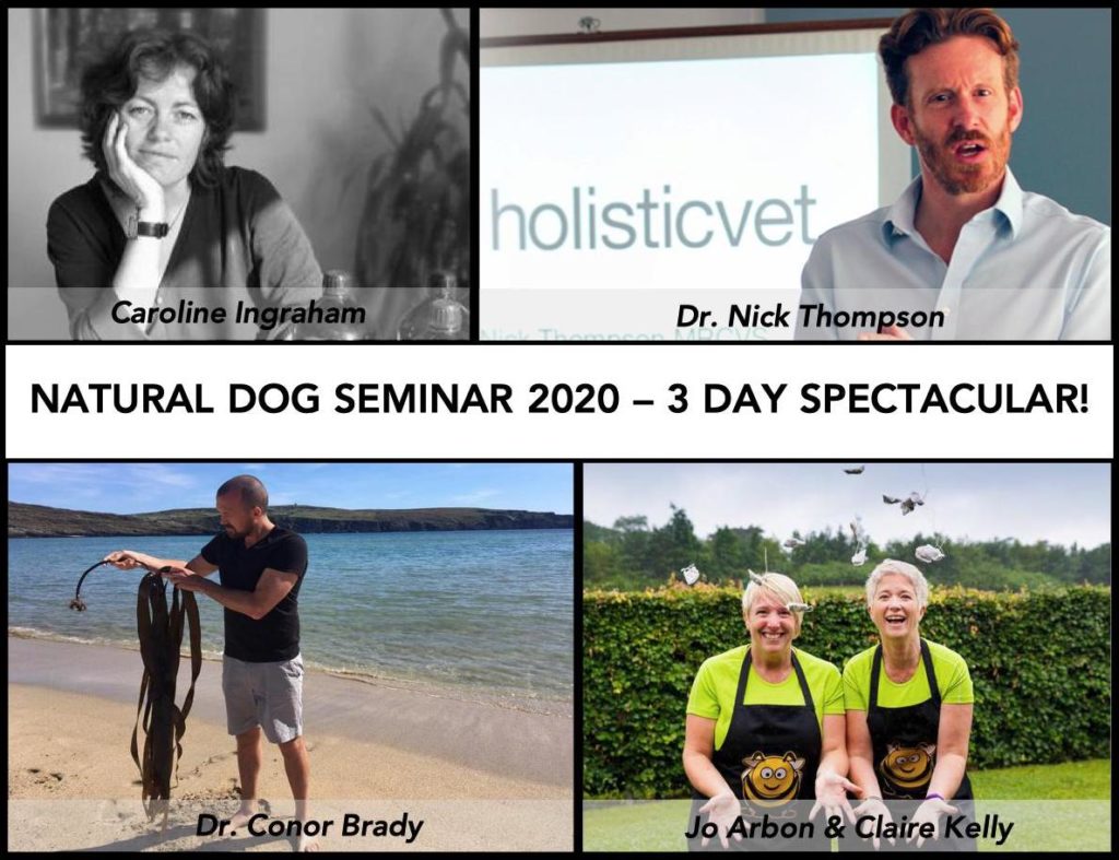 Natuarl Dog Seminar 2020