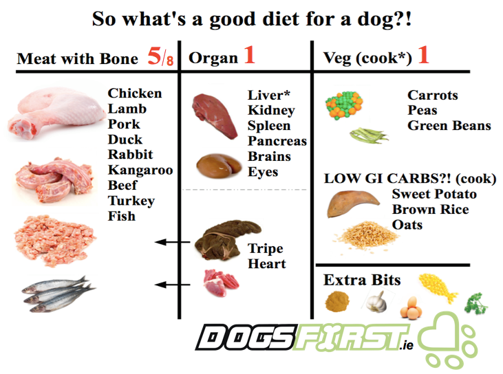 Raaka koiranruoka infografiikka