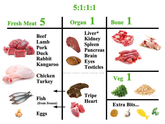 raw dog food infographic