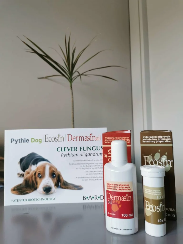 ecosin for yeast issues in dogs