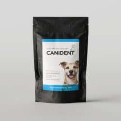 Canident cleans dogs teeth naturally