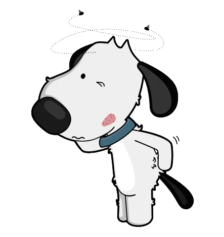 Itchy dog DF dog