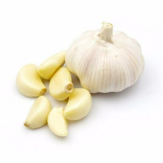 is garlic safe for dogs?