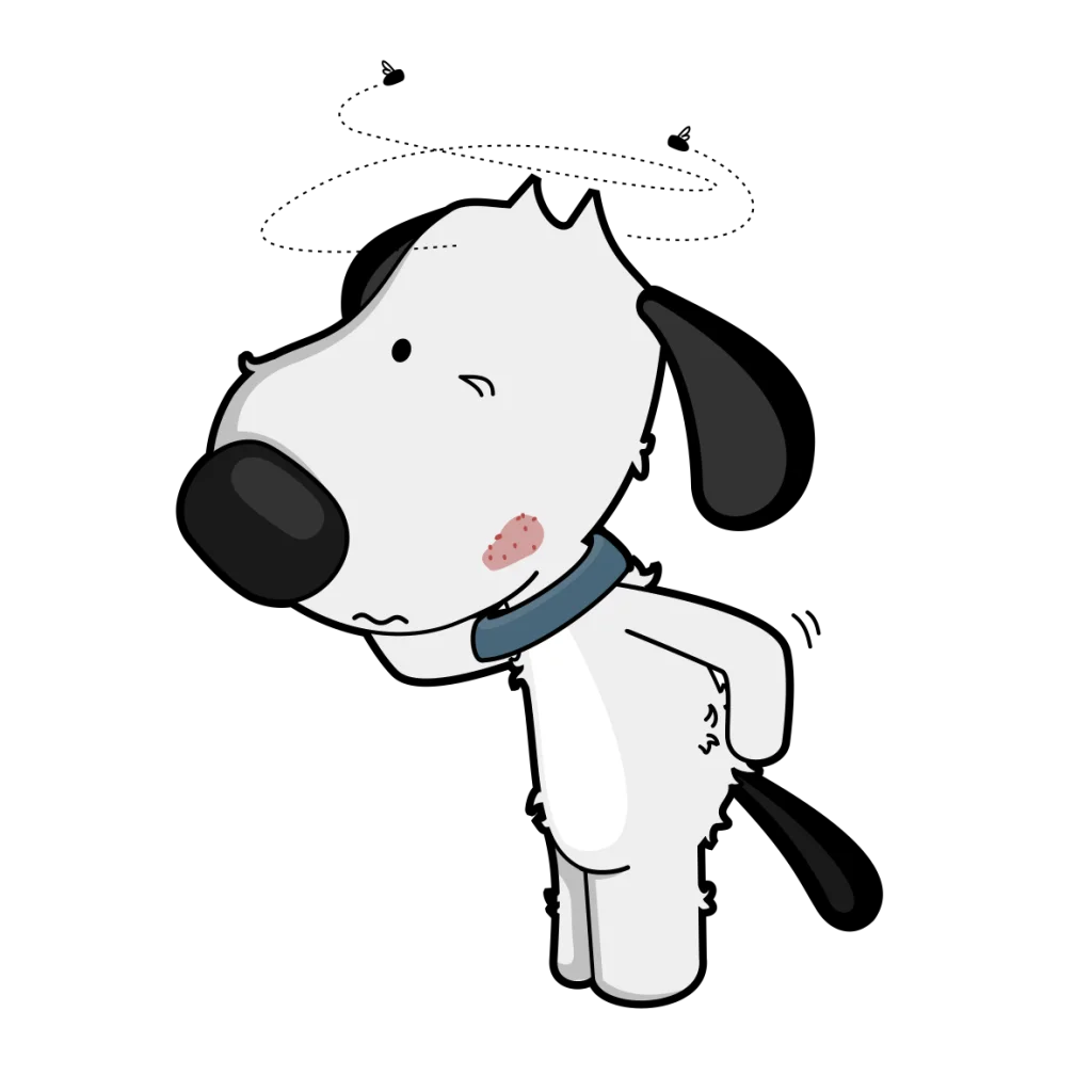 itchy dog