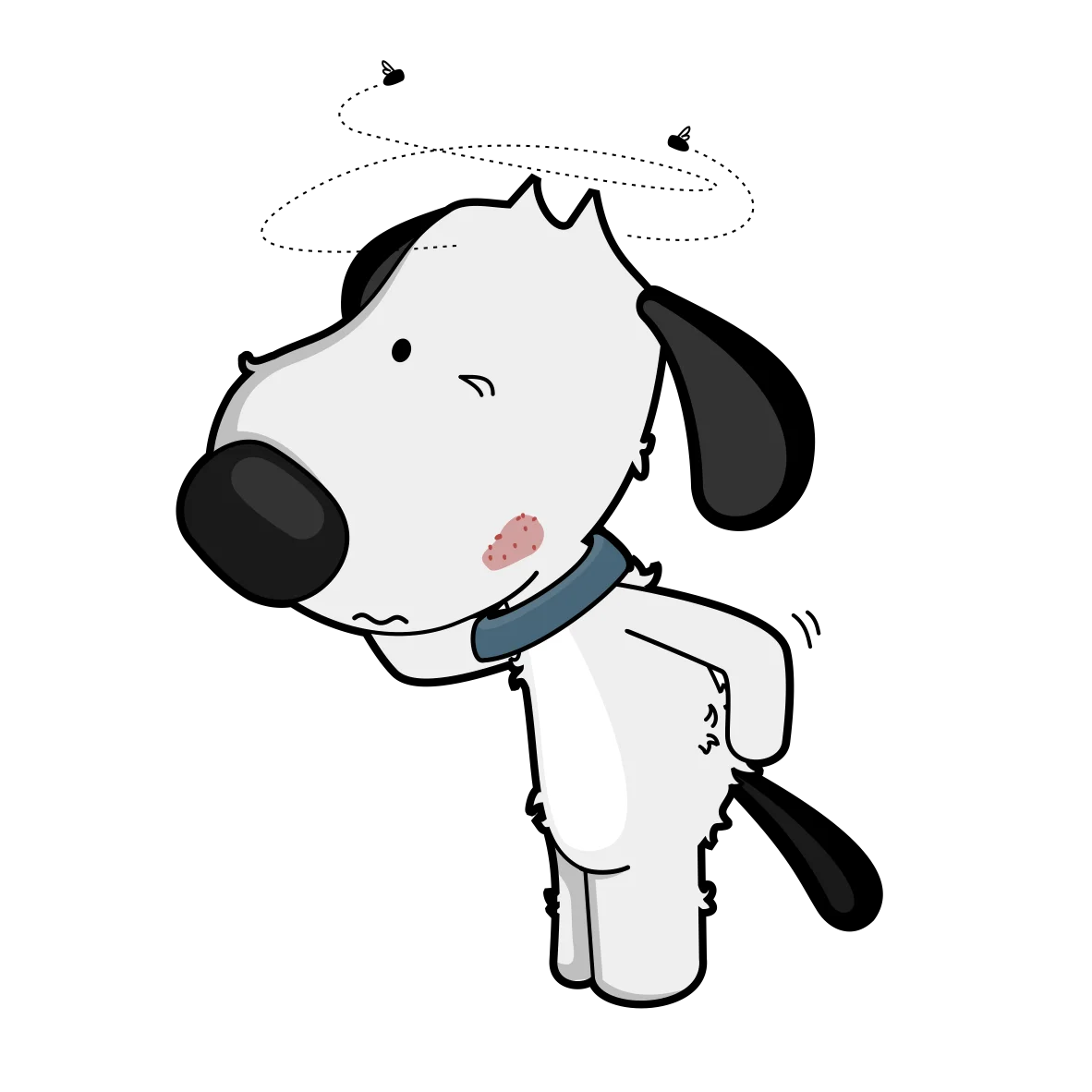 itchy dog