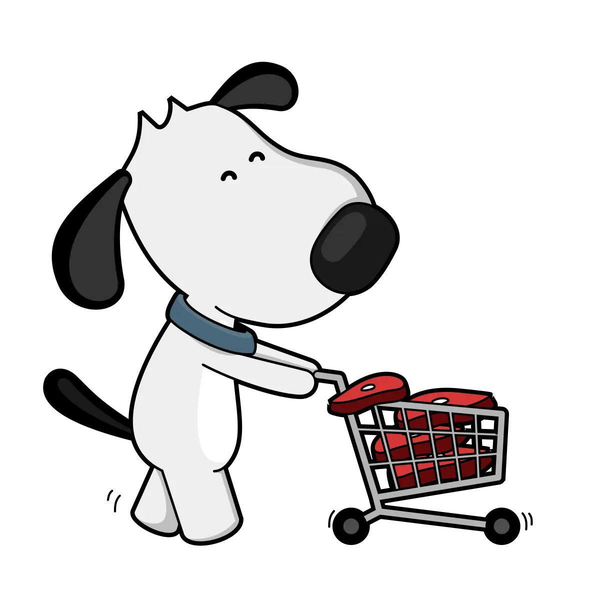raw dog food guide