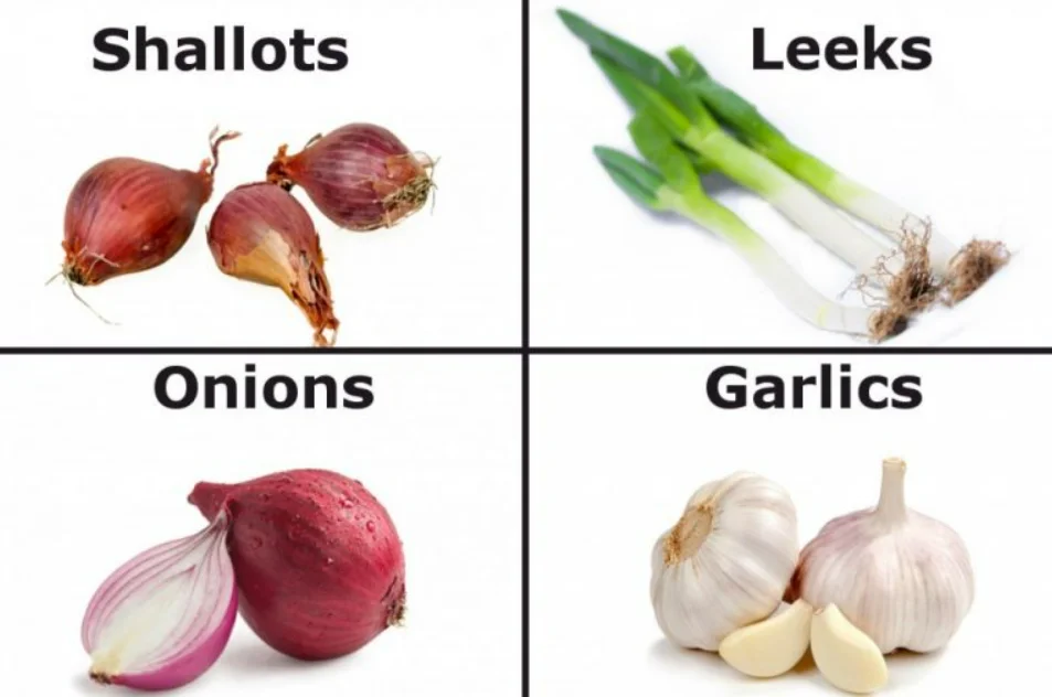 A few members of the Allium family