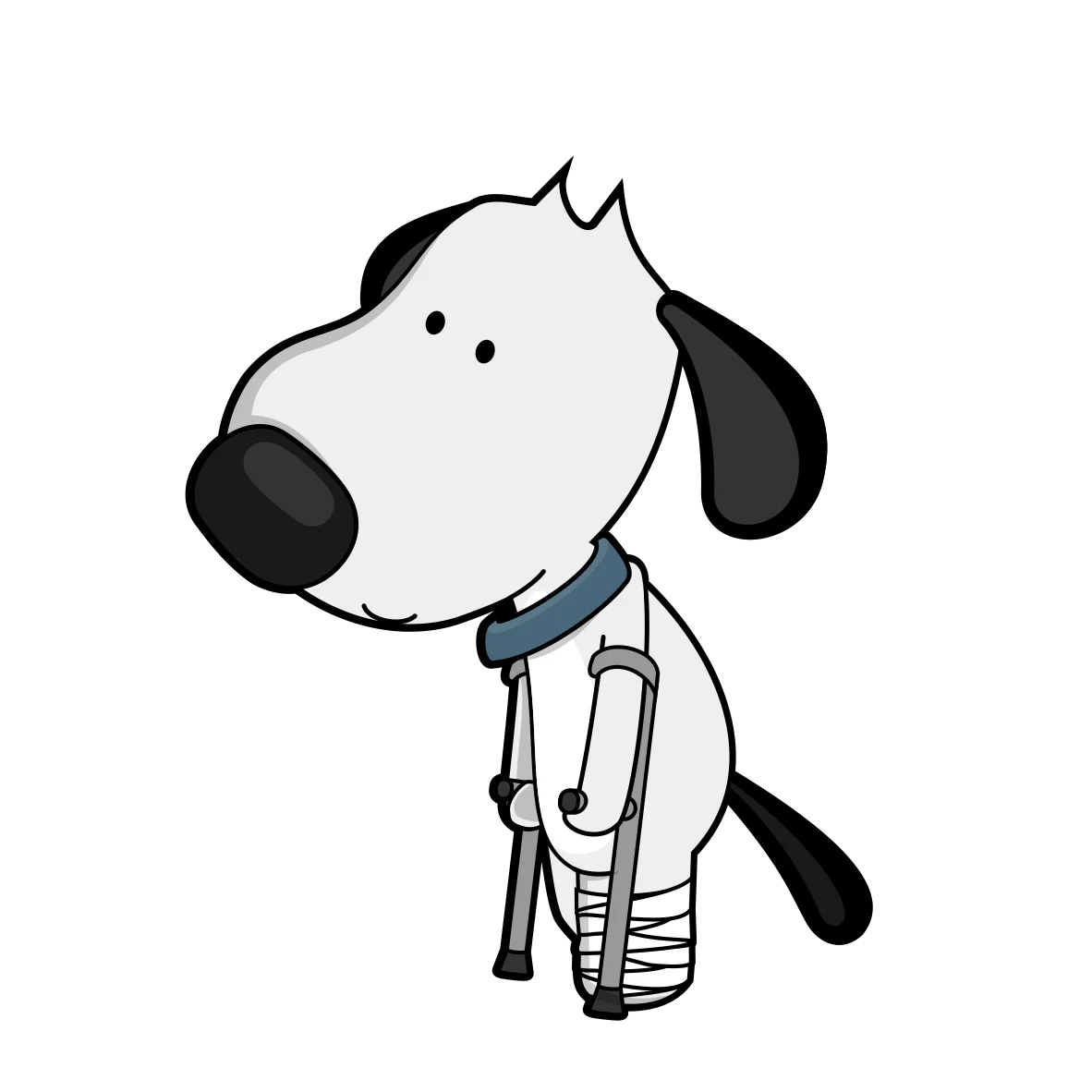 Torn acl in dogs