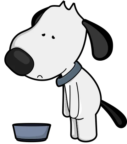 causes of pancreatitis in dogs