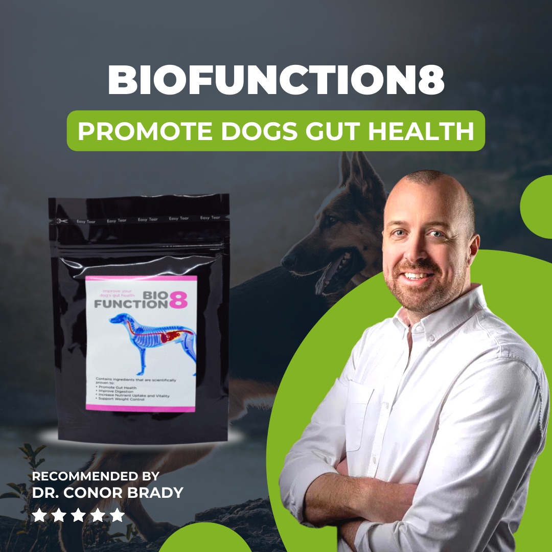 Natural Diet For Dogs With Kidney Disease At Joseph Sauls Blog natural-diet-for-dogs-with-kidney-disease-at-joseph-sauls-blog