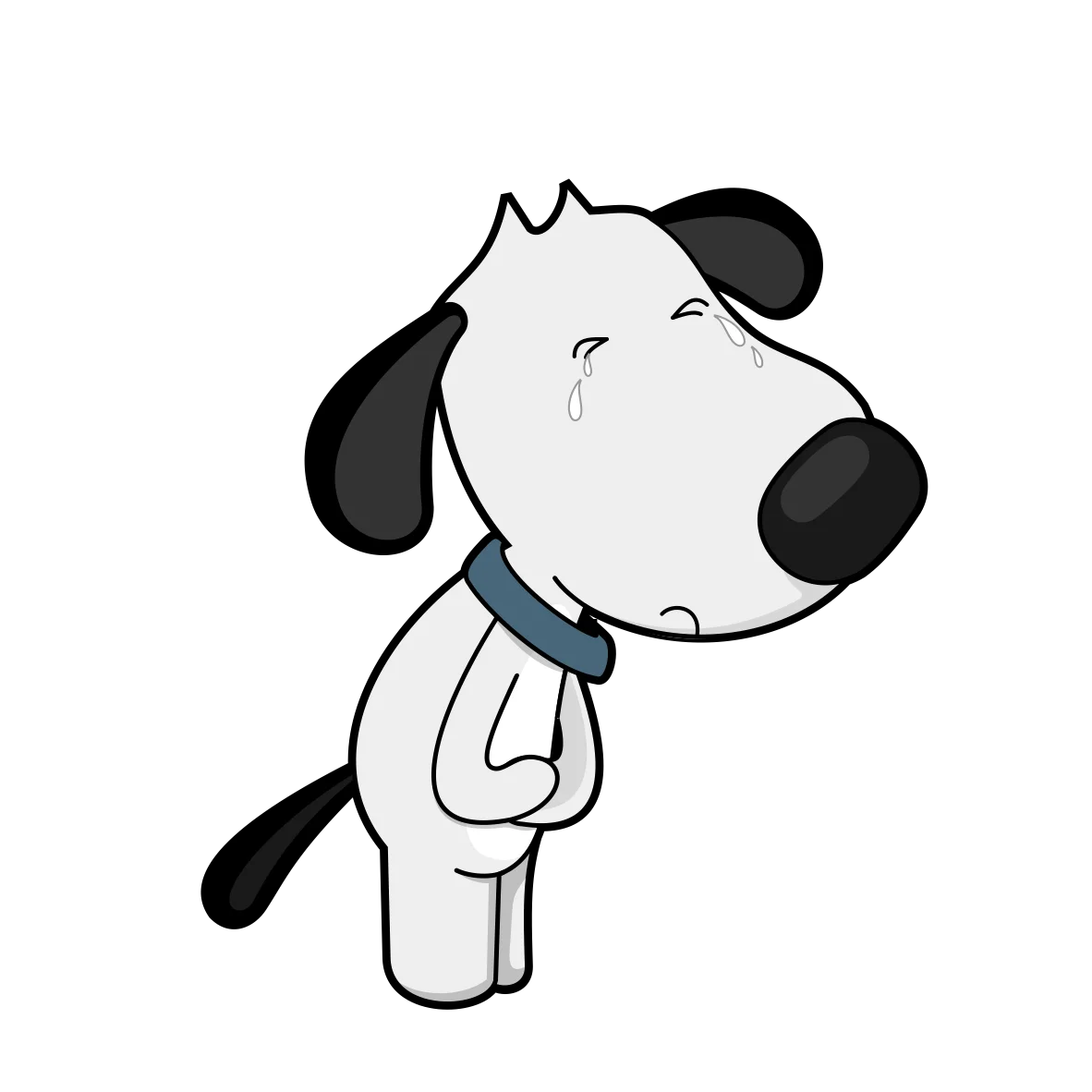 df dog