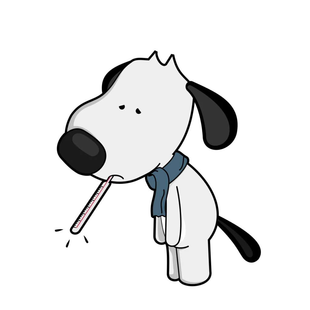 df dog