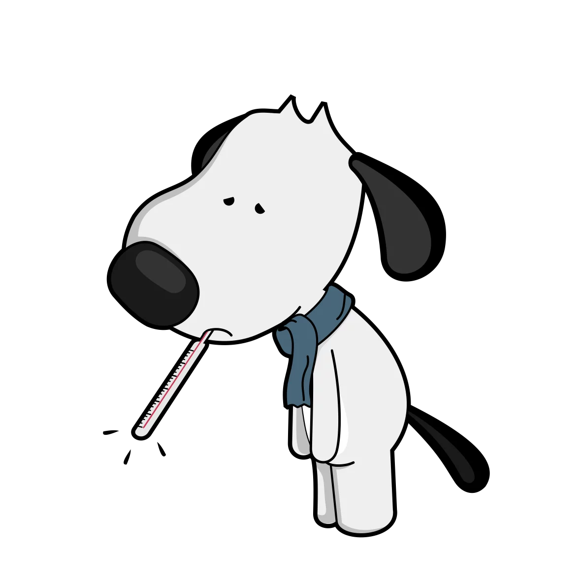df dog