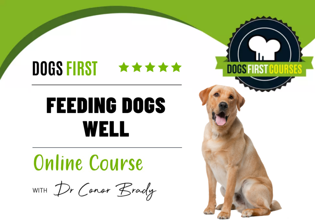 Feeding Dogs Well Course