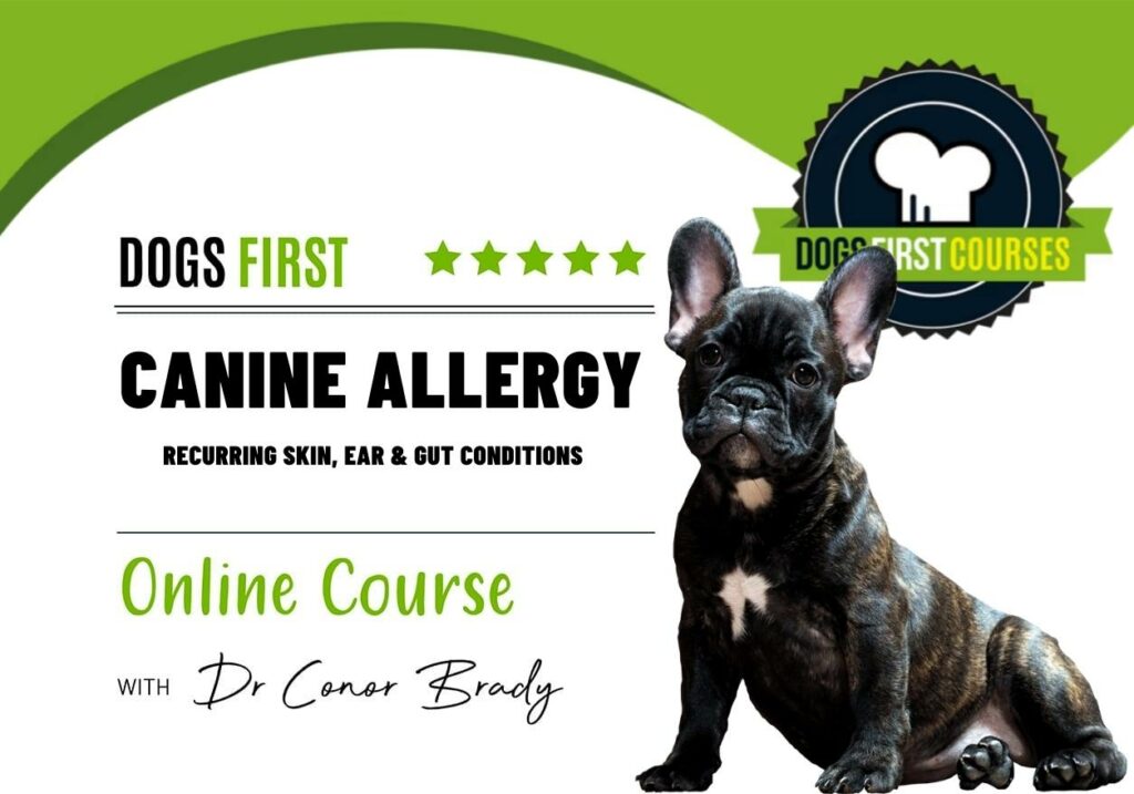 Koirien allergiakurssi